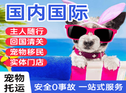 贵阳航空快递国际宠物托运 【国